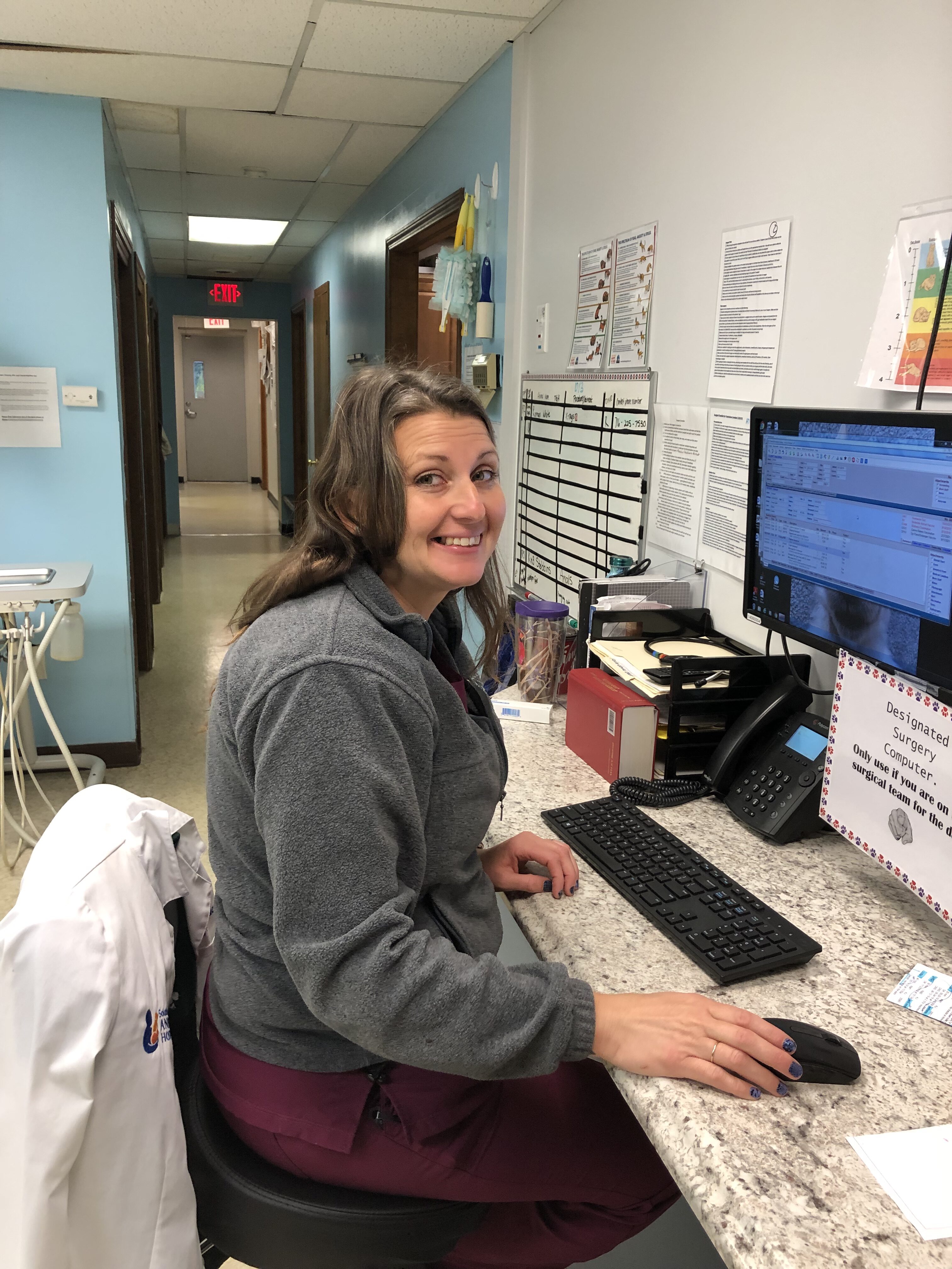 Stodgell Southtowns Animal Hospital